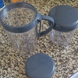 Ninja Gray Food Storage Solution